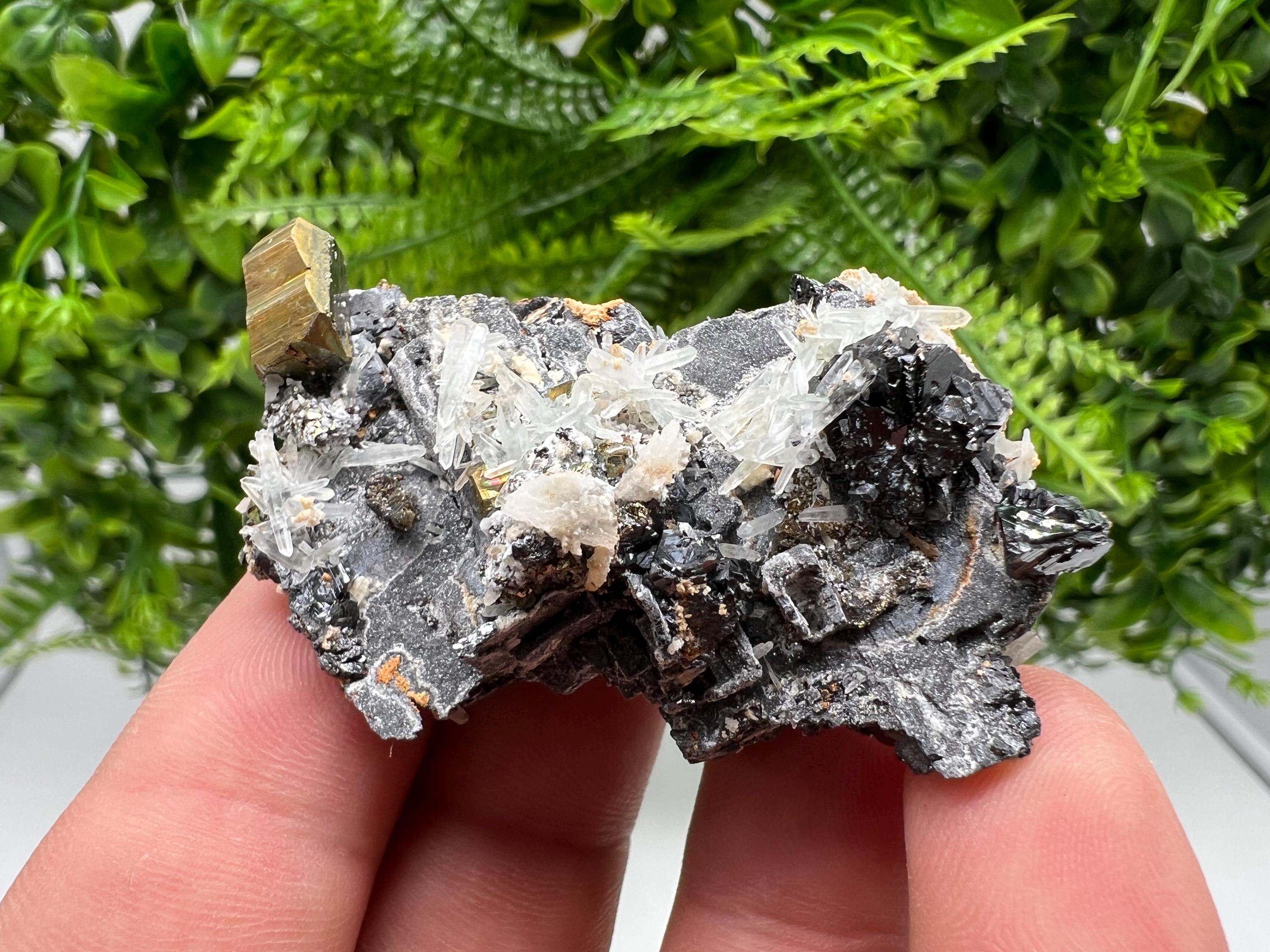 Skeleral Galena, Pyrite, Quartz Mineral Specimen, Madan Bulgaria