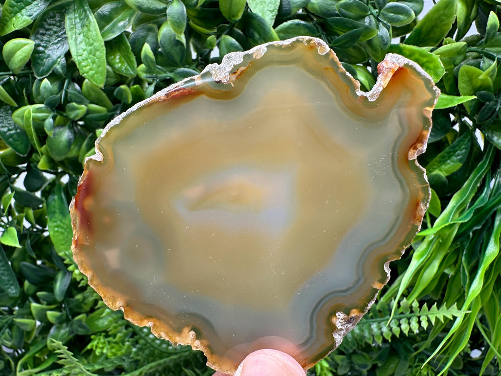 Polished Agate Slice: Spiritual Healing Crystal Coaster (10/9cm)