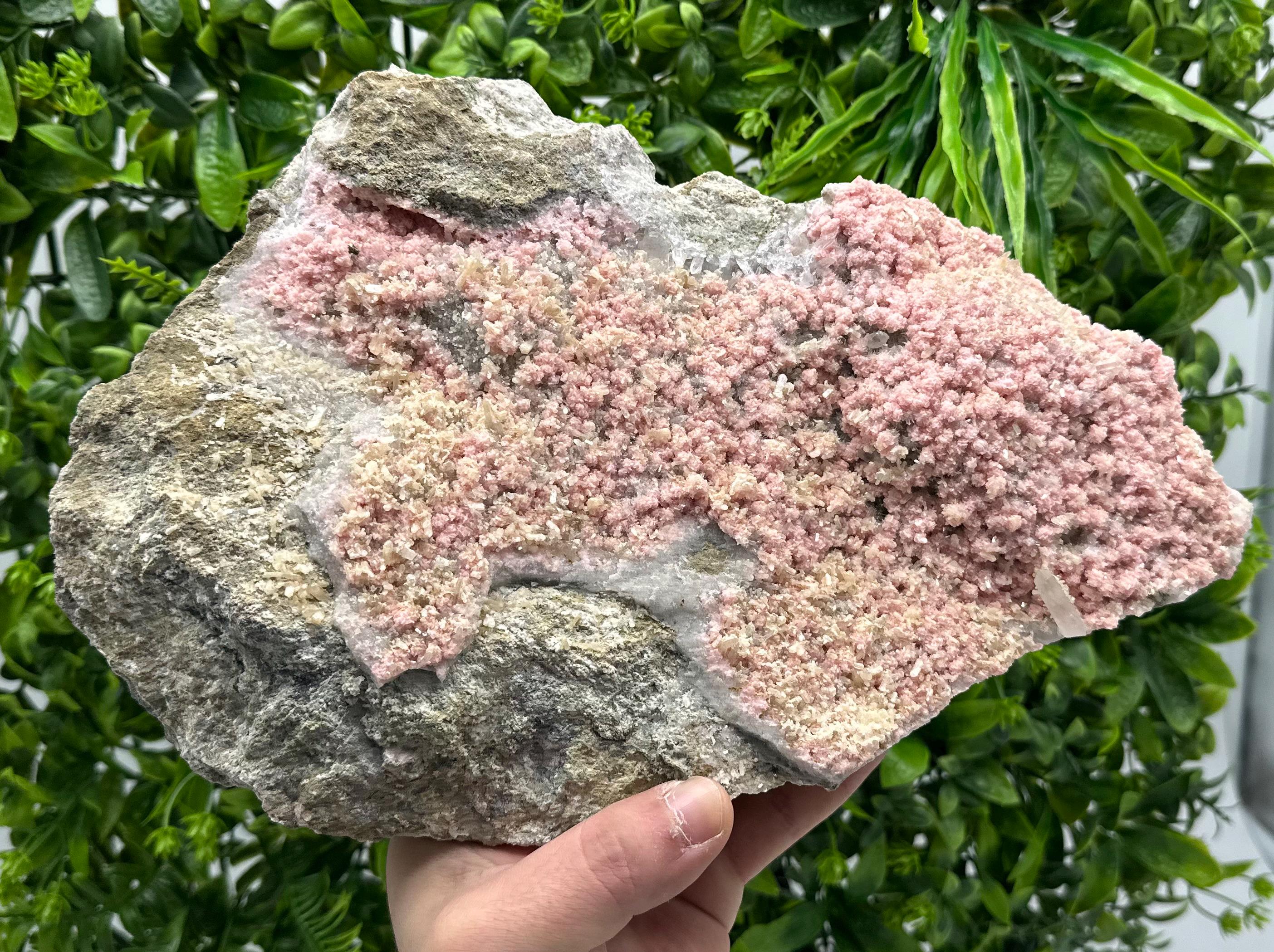 Large Rhodochrosite with Stilbite & Quartz, Bulgarian Mineral Specimen