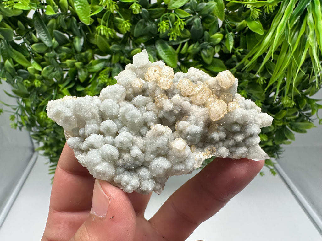 Quartz whit Brown Rhodochrosite from Djurcovo mine,Bulgaria,Quartz,Rhodochrosite cluster,natural mineral,collection crystal,mineral specimen