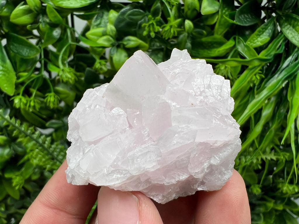 UV Reactive Mangano Calcite Crystal: Androvo Mine, Bulgaria