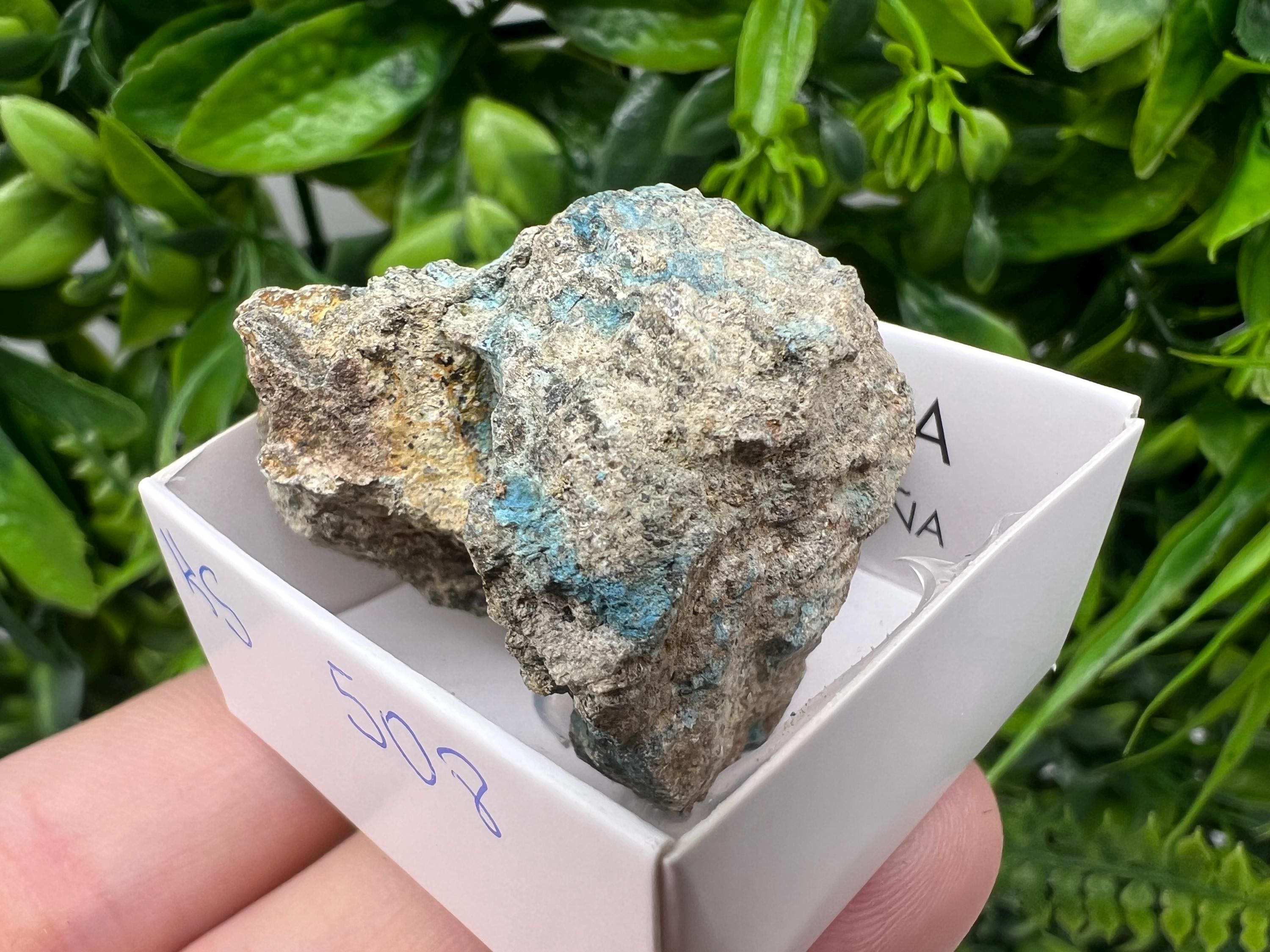 Rare Raw Aerinite Mineral Specimen: Collection Crystal from Lleida, Spain (4/4 cm