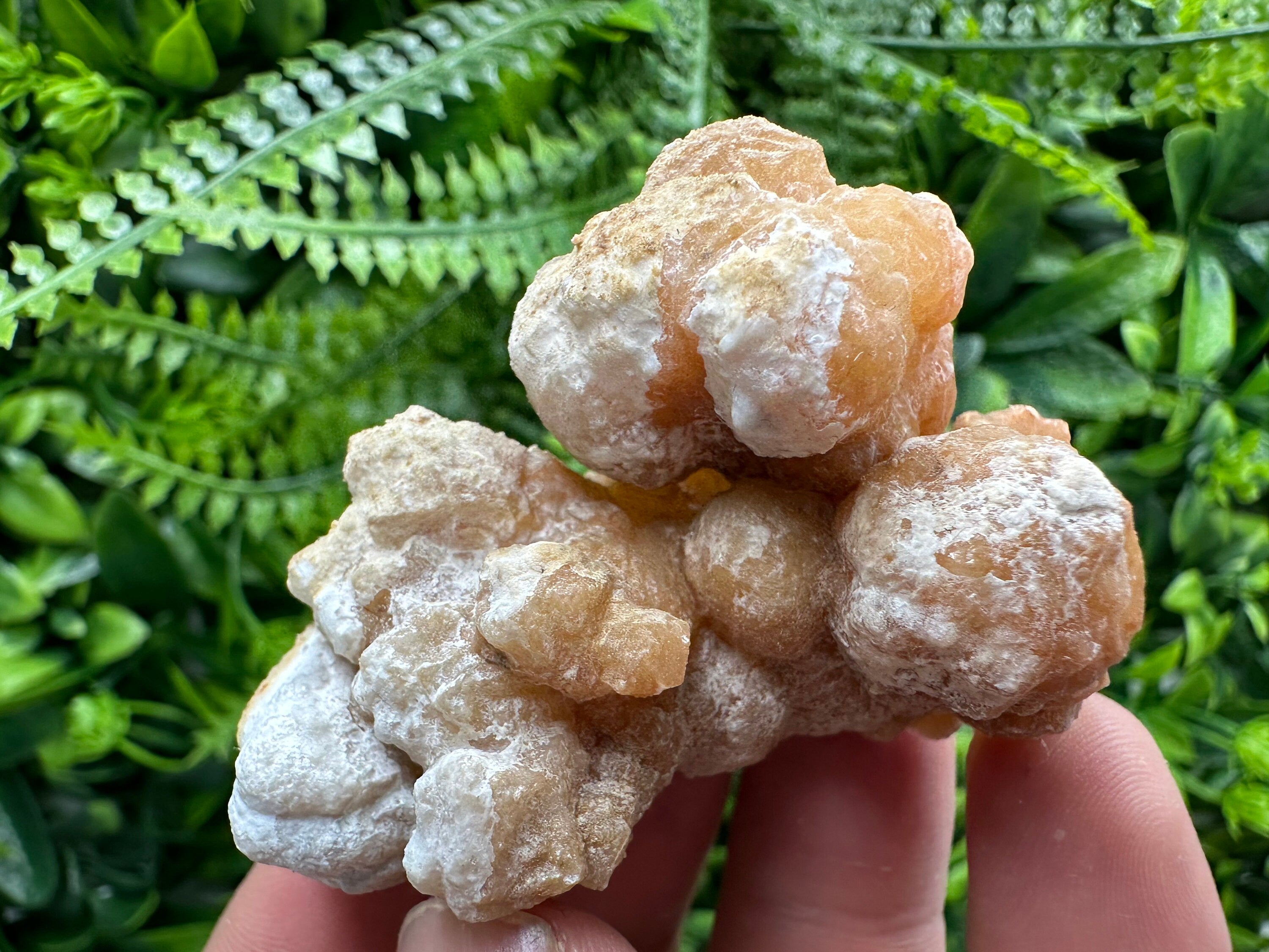 Aragonite Cluster, Dimitrovgrad Bulgaria, Mineral Specimen