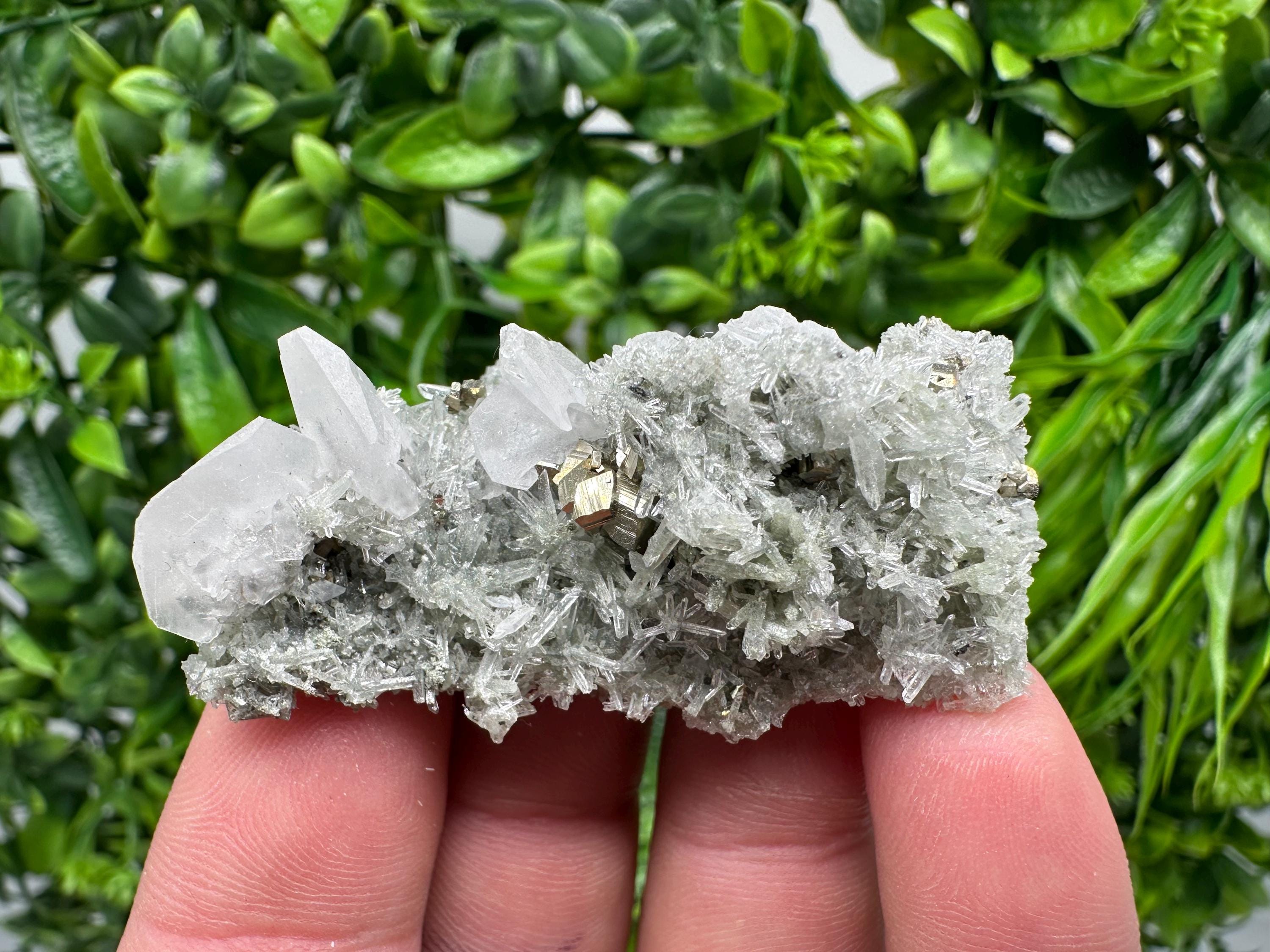 Pyrite on Green Quartz Mineral Specimen, Borieva Mine