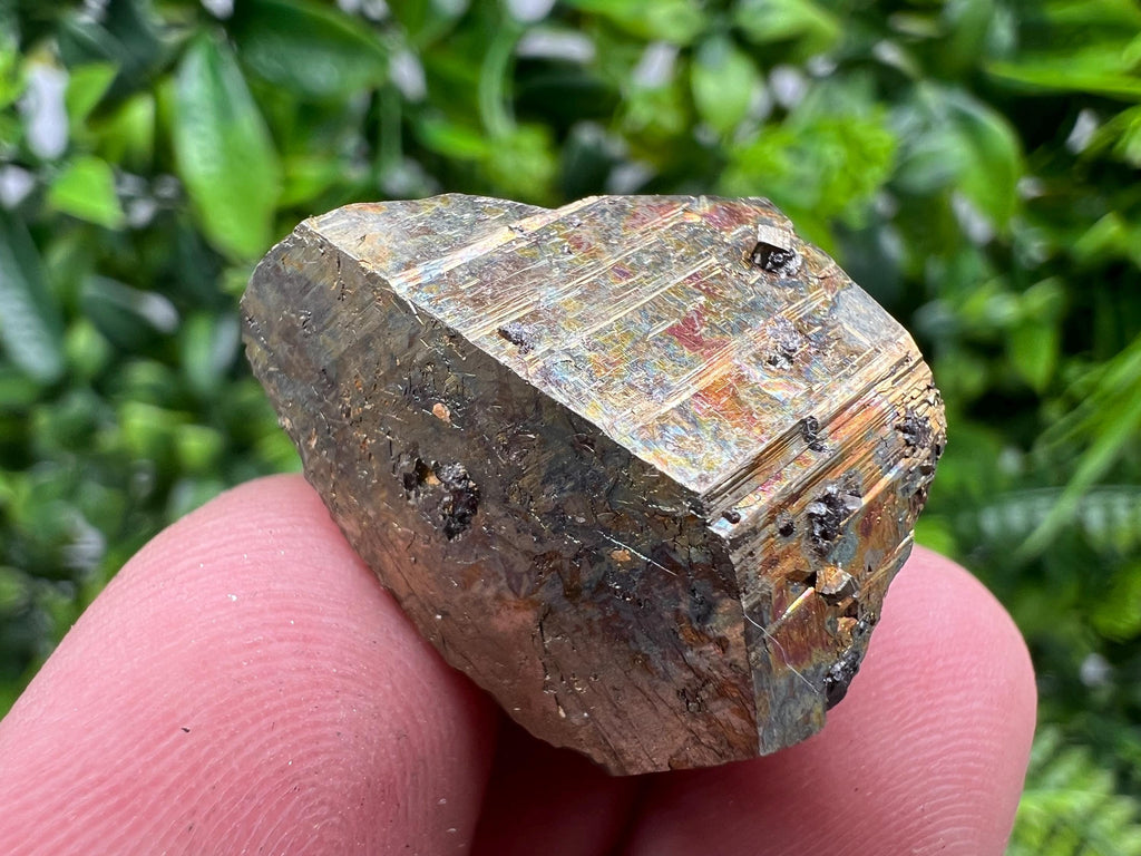 Rare Crystallized Pyrite Cluster, Borieva Mine Specimen