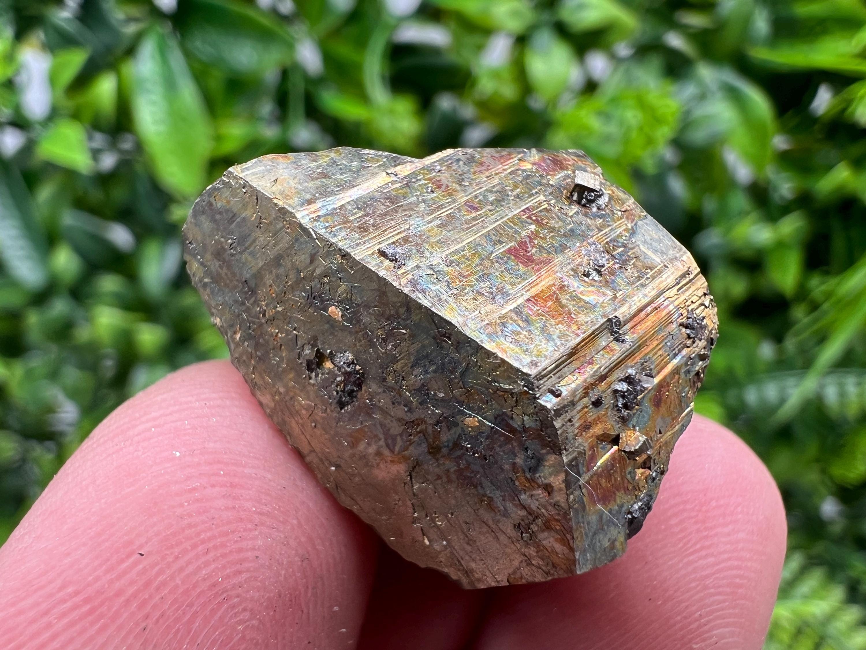 Rare Crystallized Pyrite Cluster, Borieva Mine Specimen