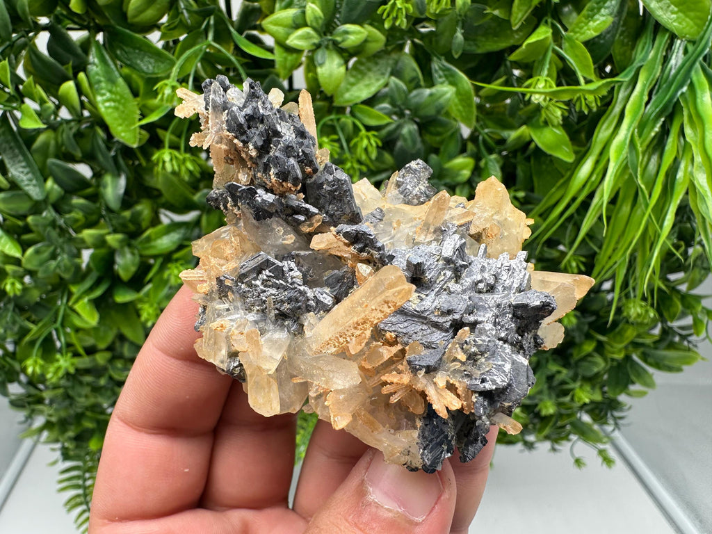Galena Cluster with Siderite and Quartz: 9th September Mine, Bulgaria