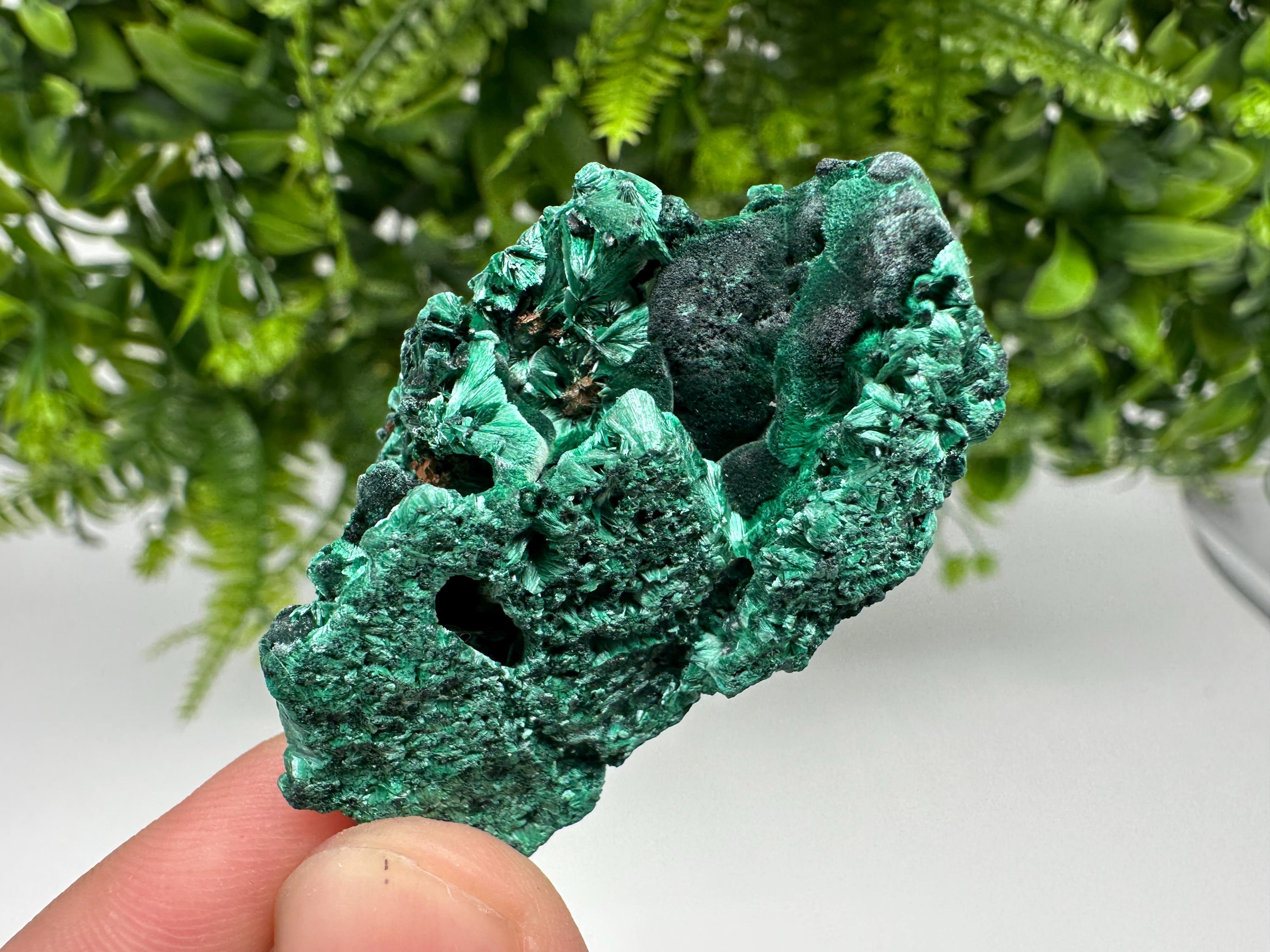 Malachite Crystal from Congo,Minerals,Crystals from Congo,Green Malachite, Malachite,Natural Malachite,Malachite Stone,Chakra, Specimens