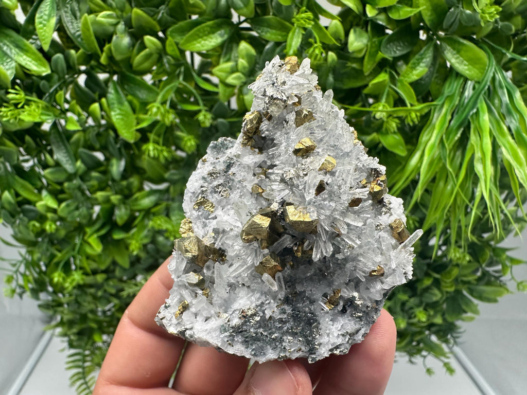 Chalcopyrite on Quartz, Chlorite Mineral Specimen, Bulgaria