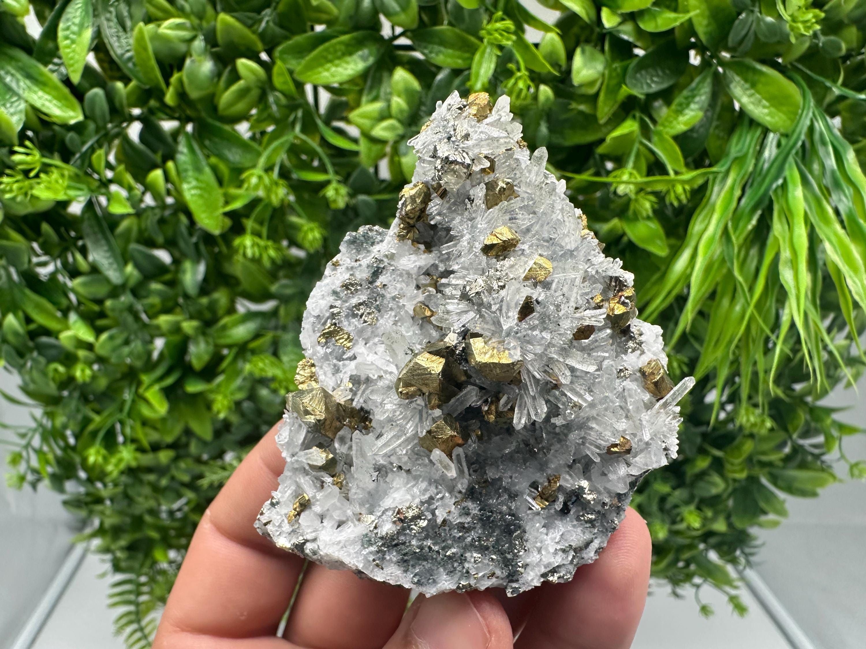Chalcopyrite on Quartz, Chlorite Mineral Specimen, Bulgaria