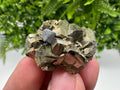 Rare crystallisation Pyrite,Borieva mine,Bulgaria,floating Pyrite,golden Pyrite,Pyrite cluster,mini Collection specimen,Rainbow Pyrite