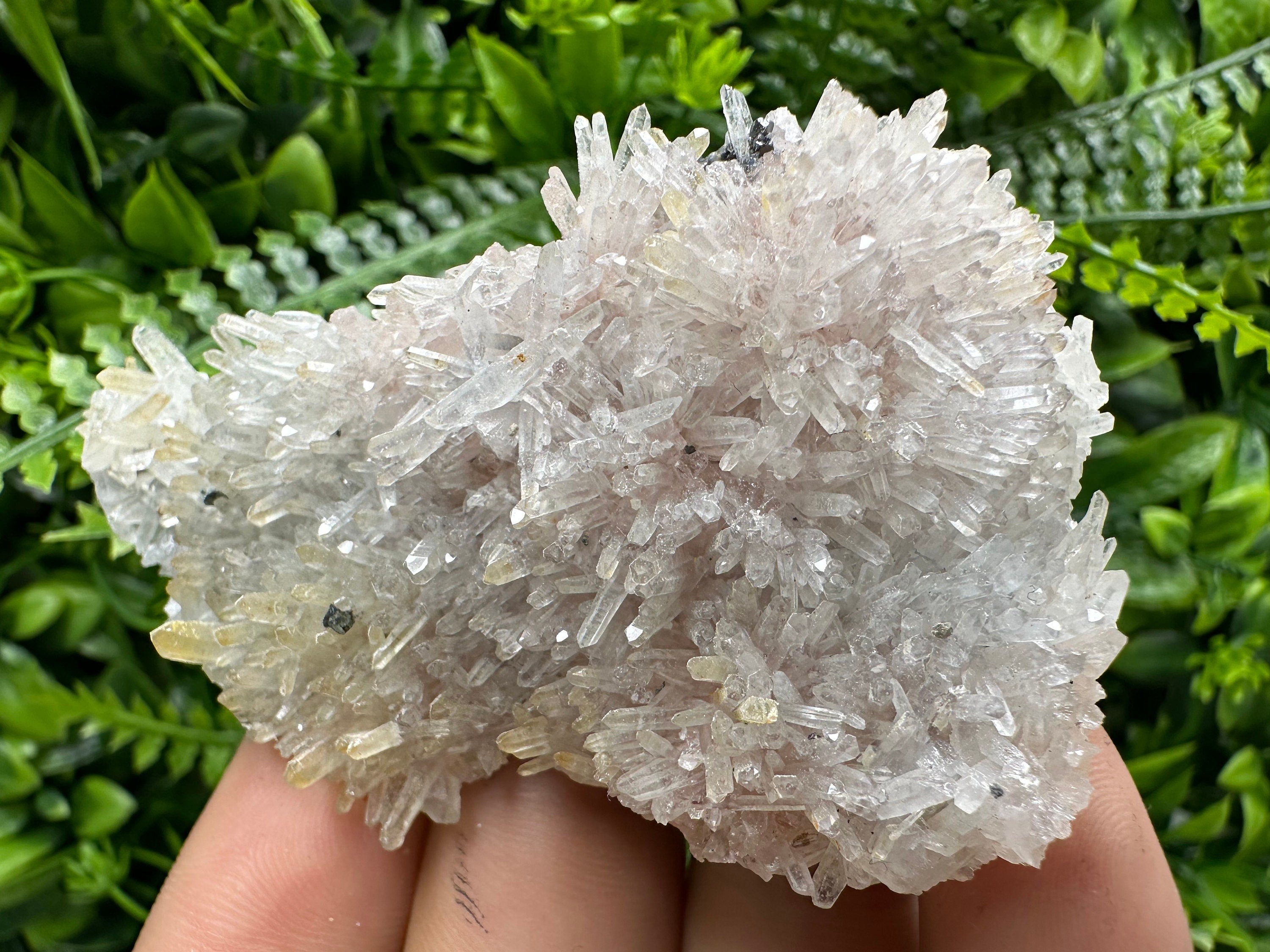 Quartz with Chlorite and Hematite Inclusions: Borieva Mine Crystal Decor