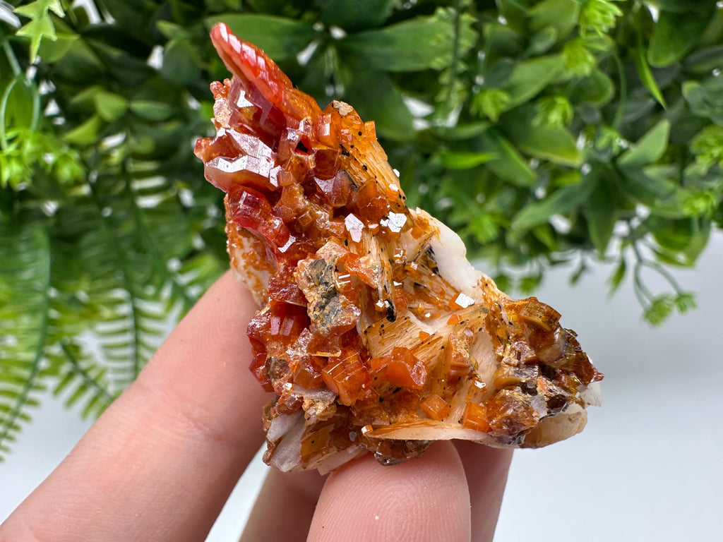 Red Vanadinite on Barite from Marocco,crystal minerals Speciment cluster Vanadinite crystal Vanadinite Geology Vanadinite cluster minerals