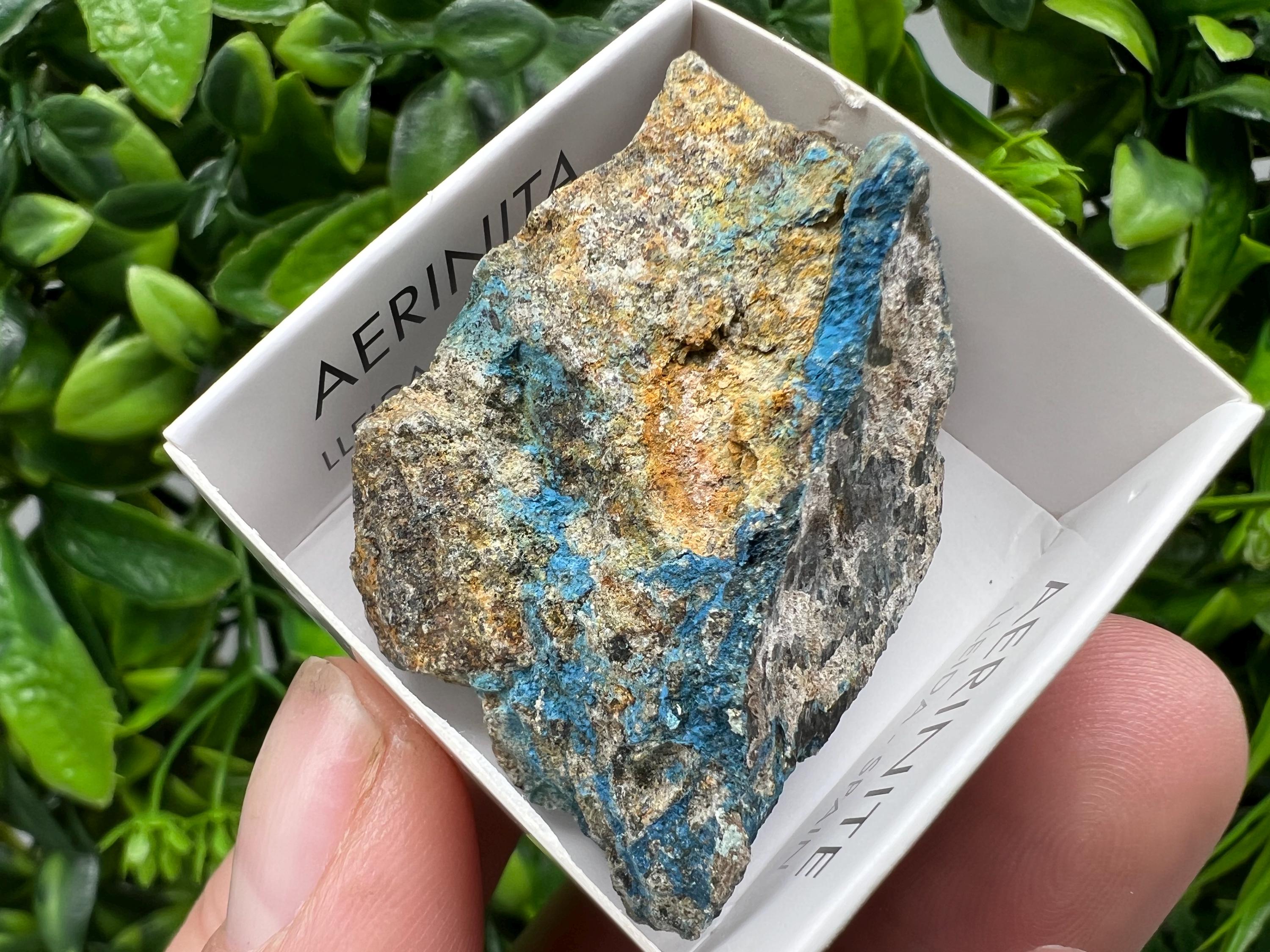 Rare Raw Aerinite Mineral Specimen: Lleida, Spain Crystal (4/3.5 CM)