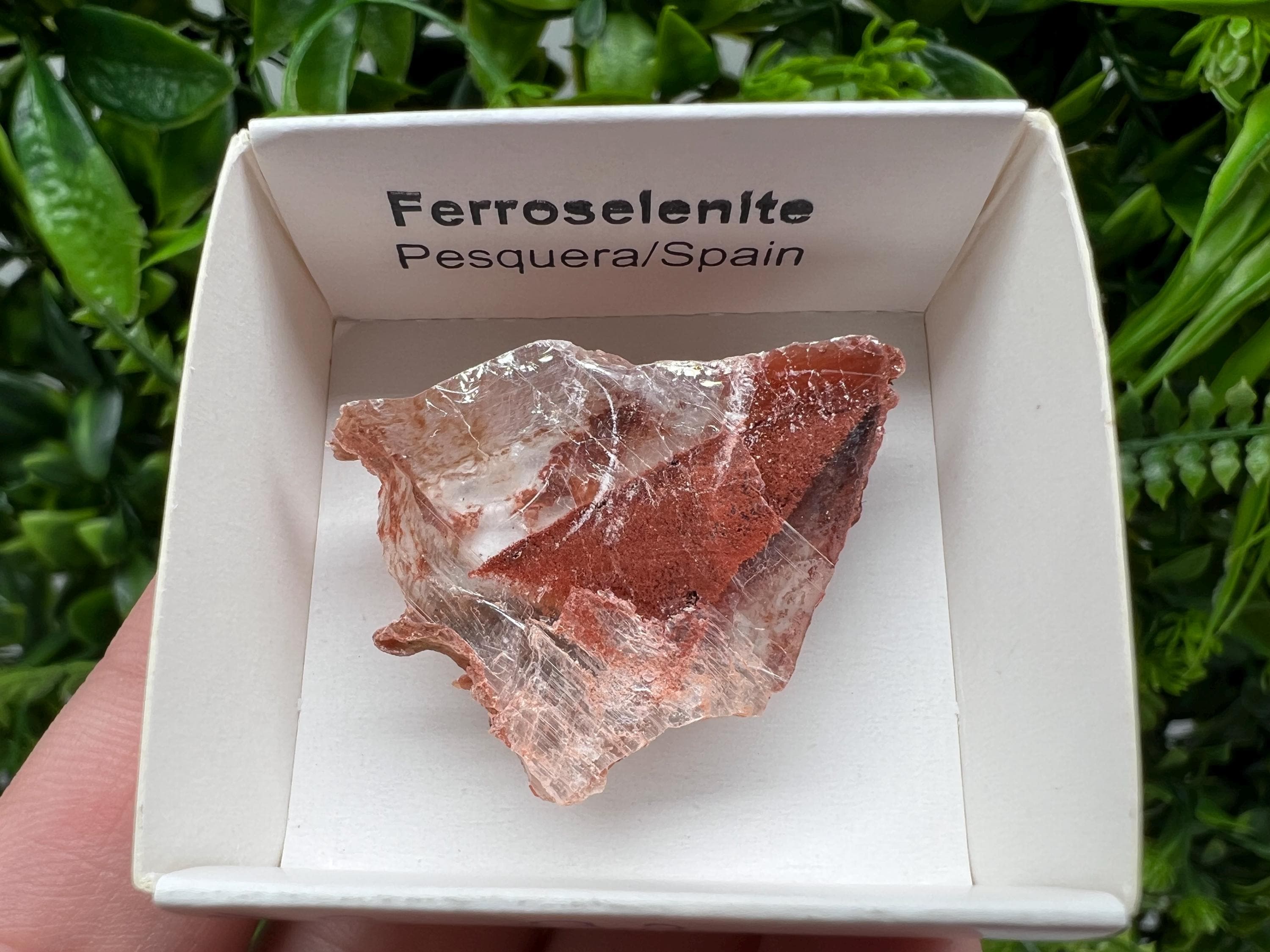 Stunning,rare Ferroselenite from La Pesquera, Cuenca,Castile-La Mancha,Spain,Mineral,Specimen,Ferroselenite Crystal,Ferroselenite Mineral