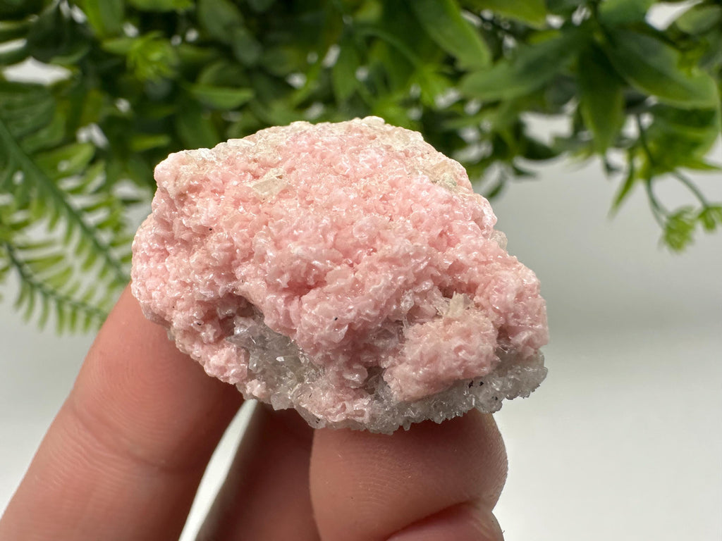 Pink Rhodochrosite Crystal: Starnica Mine, Bulgaria, Home Decor
