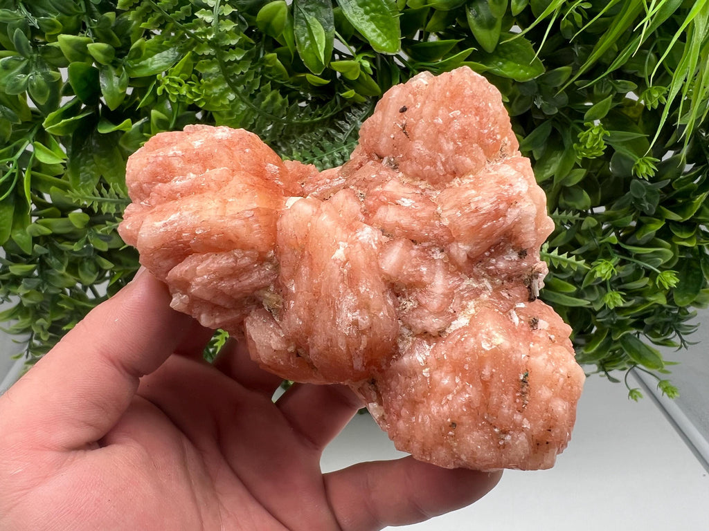 Apophyllite Stilbite Chalcedony Specimen, India Crystal