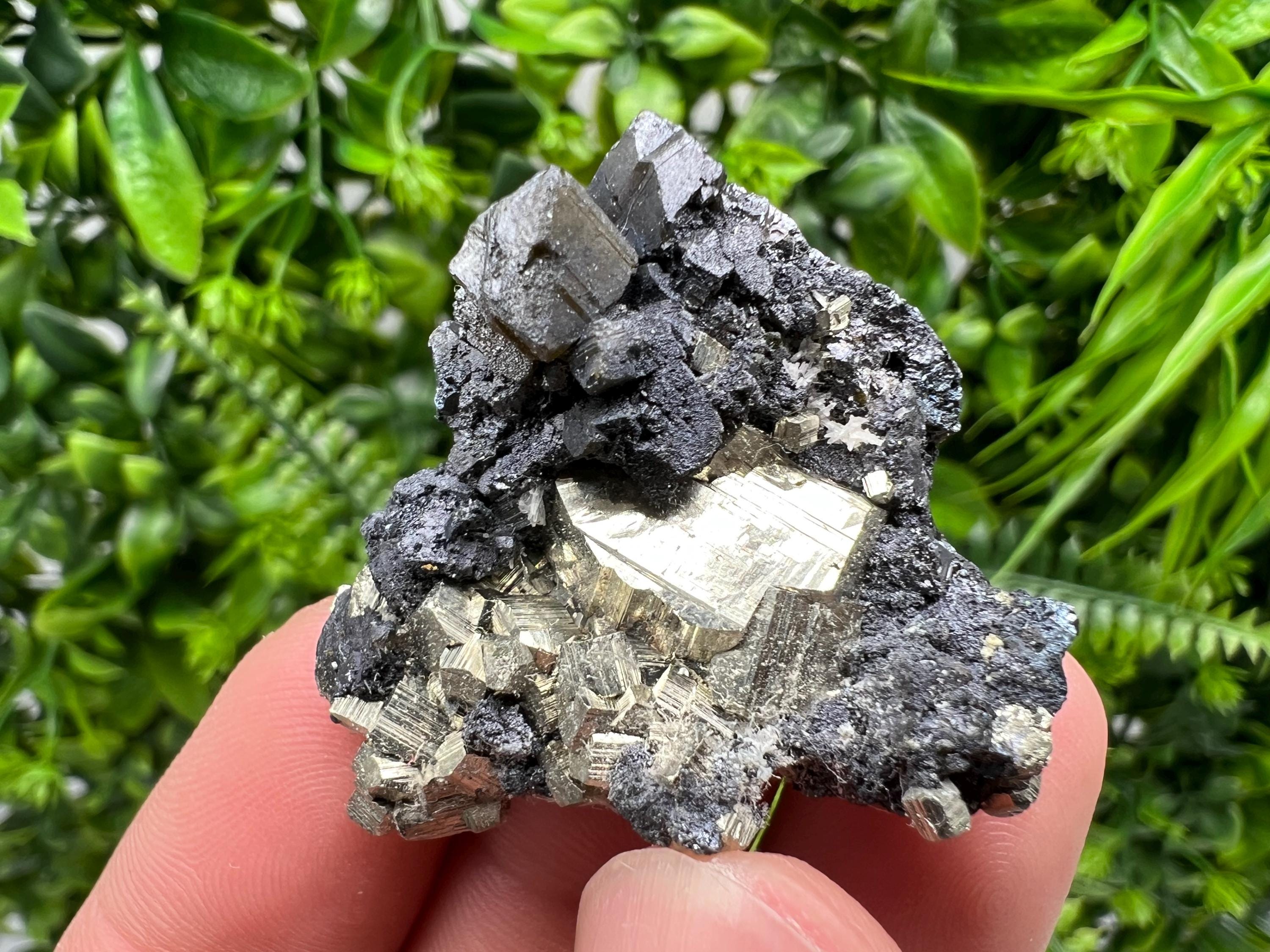 Golden Pyrite,Sphalerite from 9th September mine,Madan,Bulgaria,natural,collectible mineral specimen,home decor crystal,Pyrite cluster,