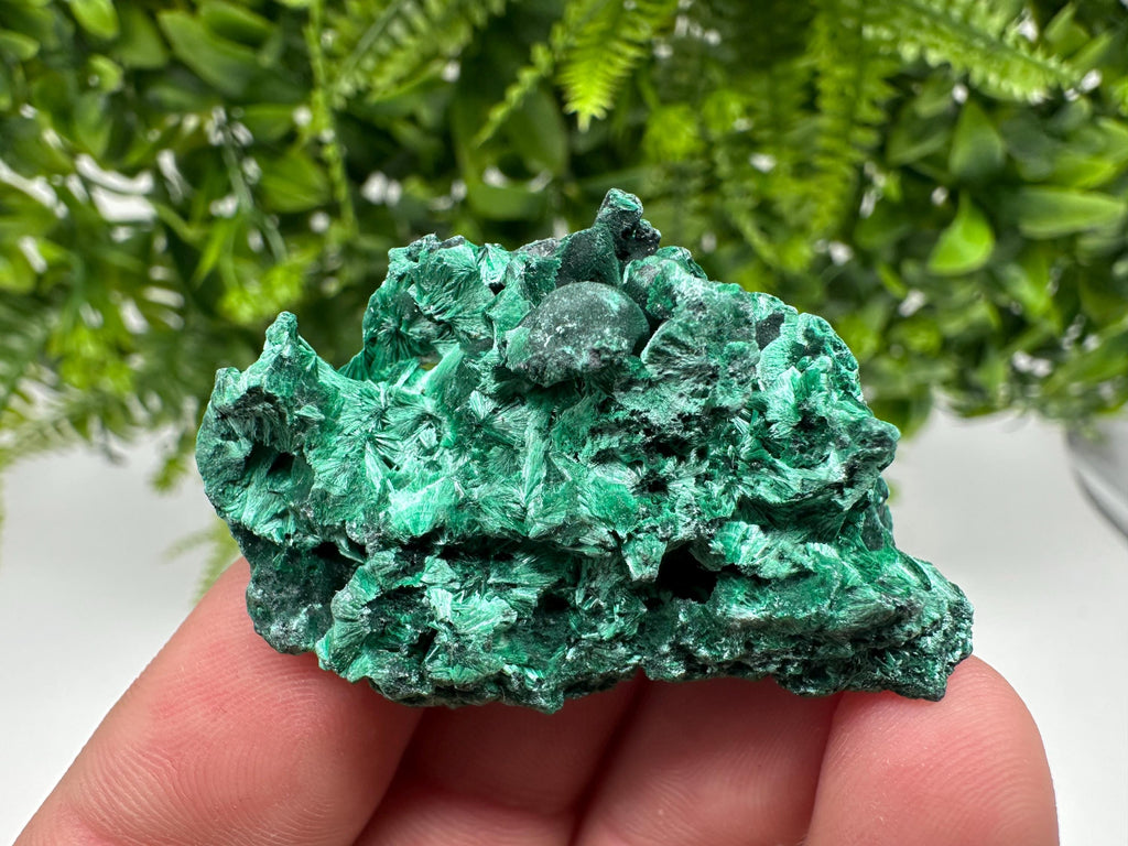 Malachite Crystal from Congo,Minerals,Crystals from Congo,Green Malachite, Malachite,Natural Malachite,Malachite Stone,Chakra, Specimens