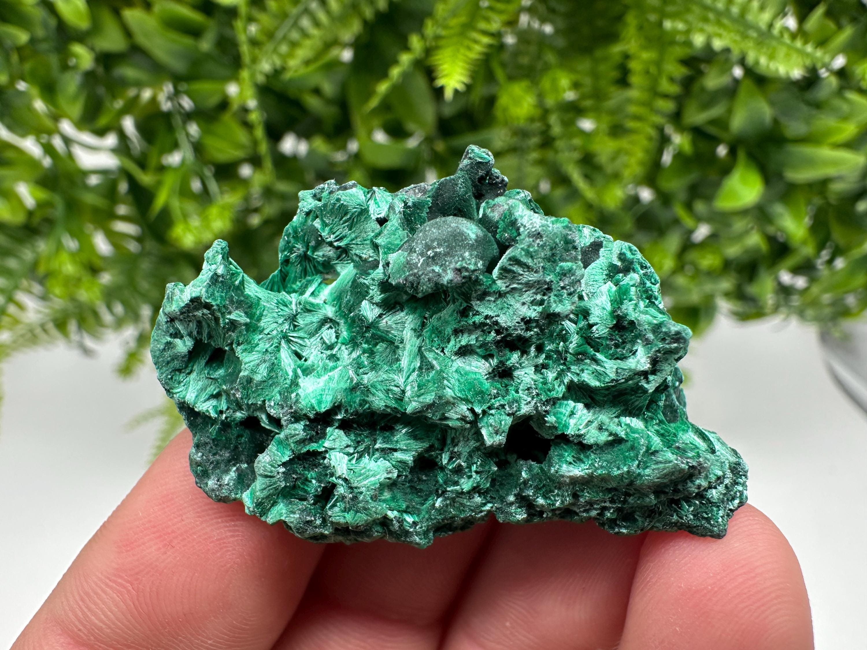 Malachite Crystal from Congo,Minerals,Crystals from Congo,Green Malachite, Malachite,Natural Malachite,Malachite Stone,Chakra, Specimens