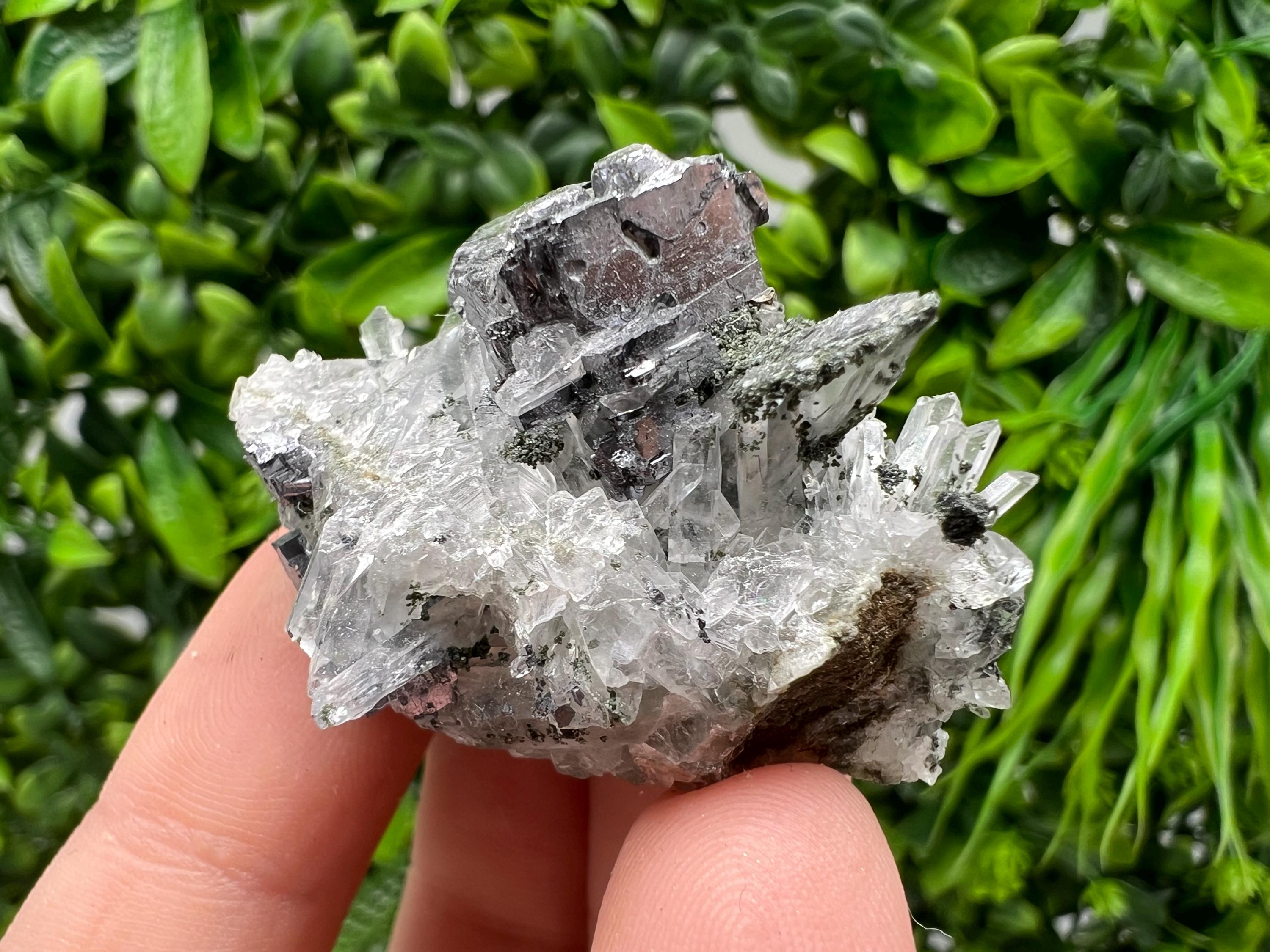 Galena Pyrite Quartz Specimen, Borieva Mine, Bulgaria