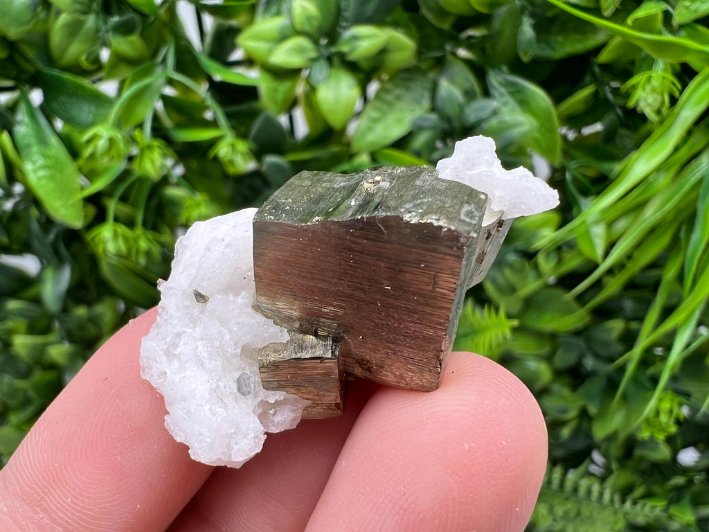 Rare crystallisation Pyrite,Borieva mine,Bulgaria,floating Pyrite,golden Pyrite,Pyrite cluster,mini Collection specimen,Rainbow Pyrite