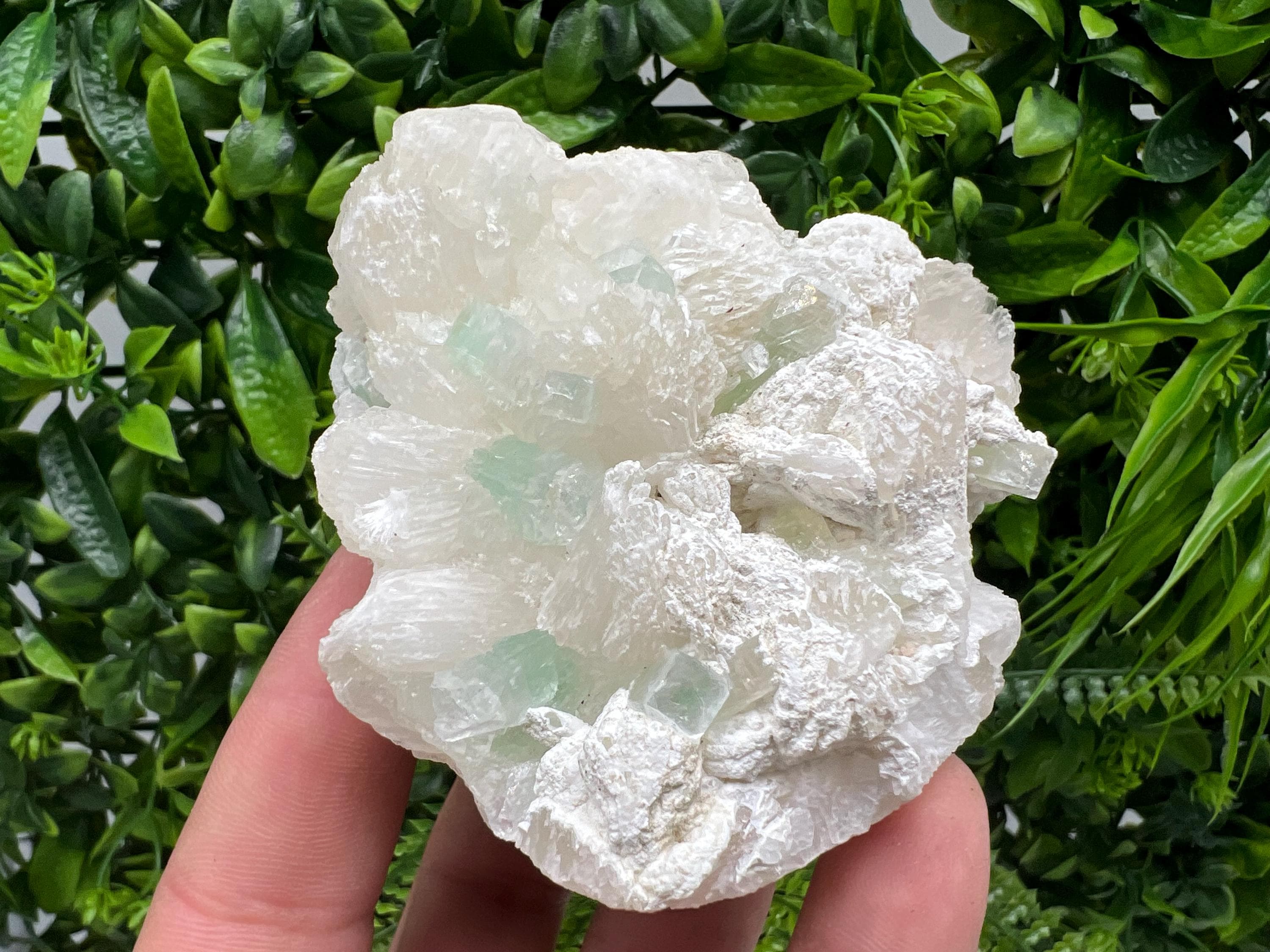 Transparent Apophyllite on Chalcedony Specimen, India Minerals