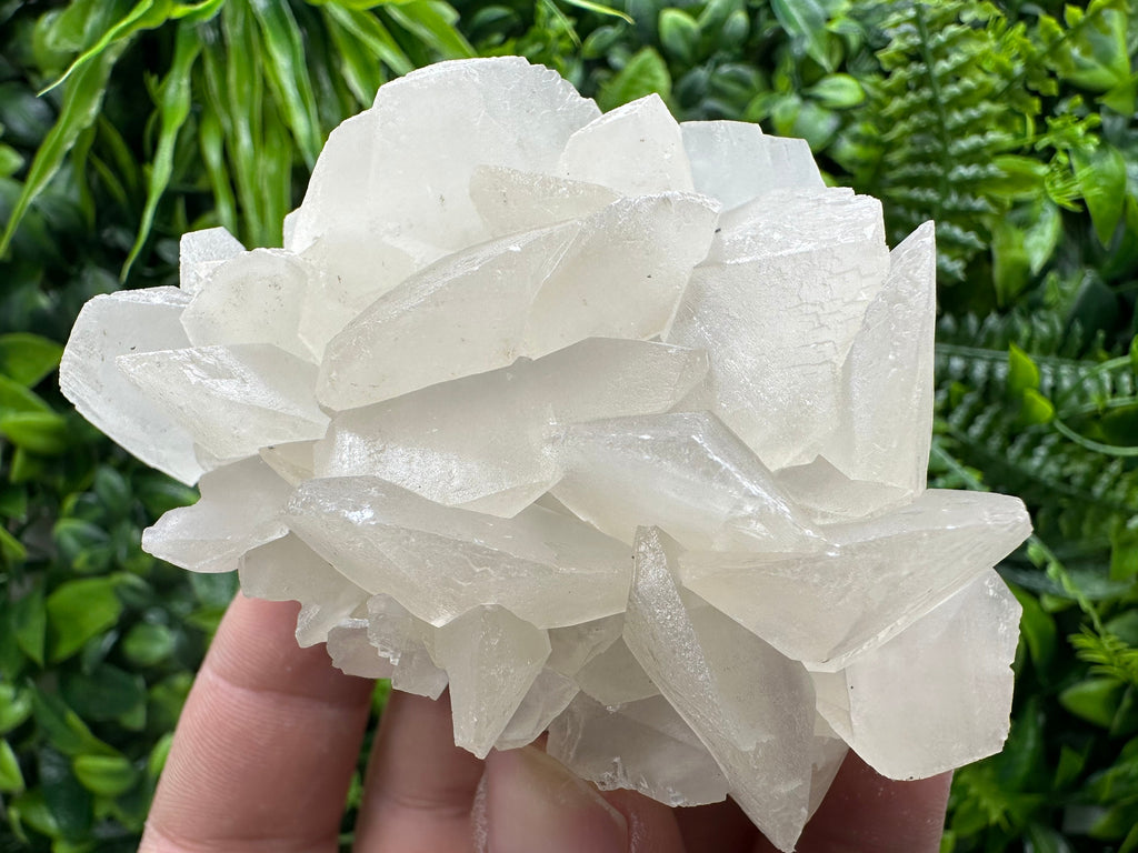 White Calcite on Matrix: Madan Bulgaria Crystal Mineral