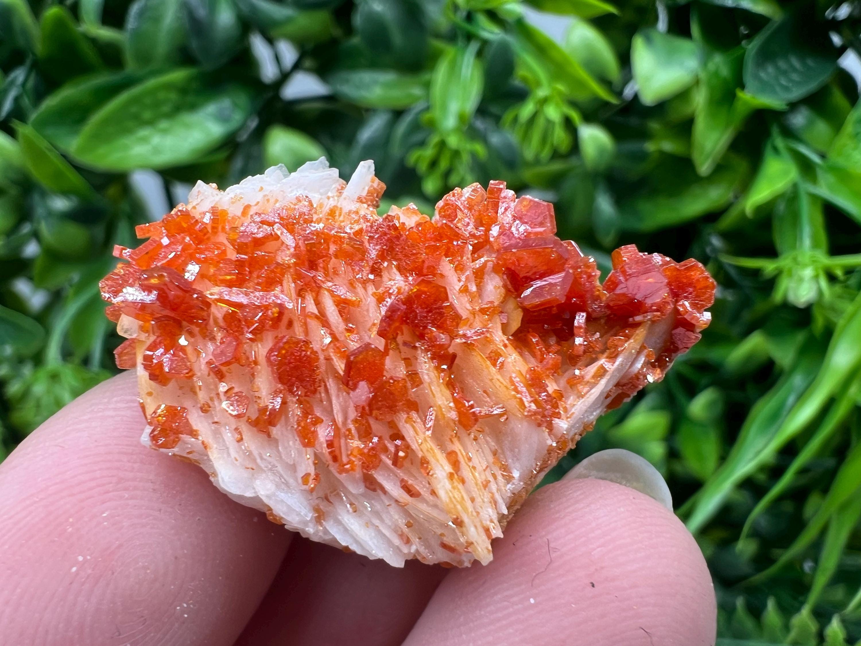 Red Vanadinite on Barite from Marocco,crystal minerals Speciment cluster Vanadinite crystal Vanadinite Geology Vanadinite cluster minerals