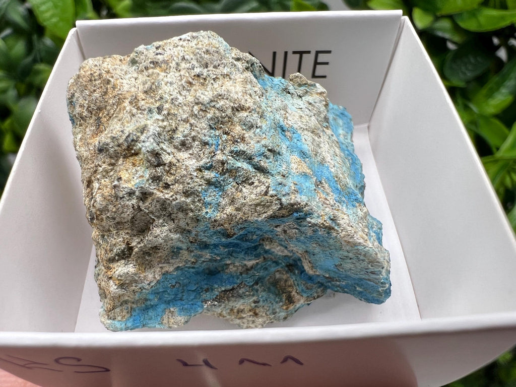 Rare Raw Aerinite Mineral Specimen: Collection Crystal from Lleida, Spain (3.5/3.5cm)
