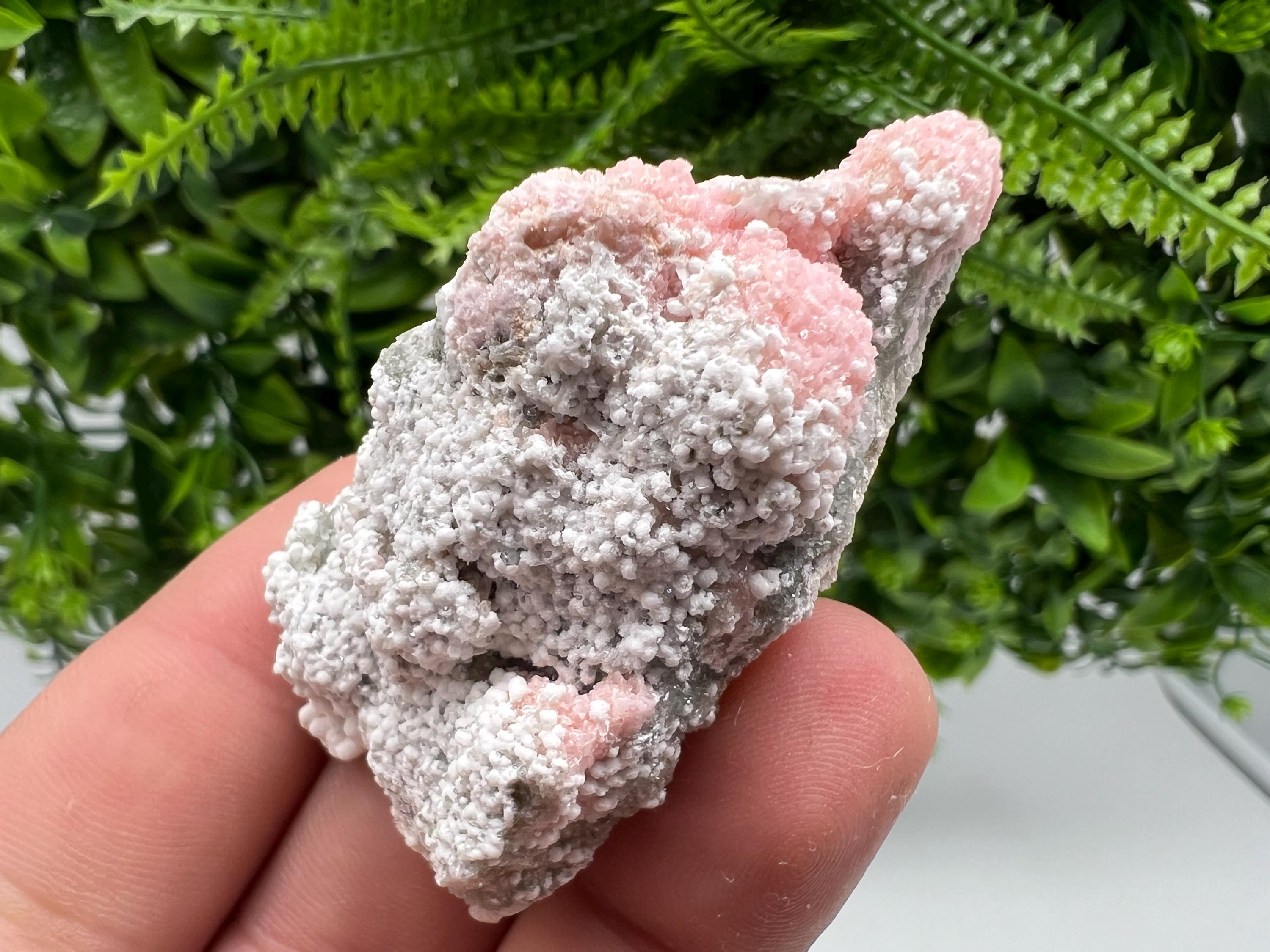 RARE Rhodochrosite with White Calcite, Starnica Mine Bulgaria
