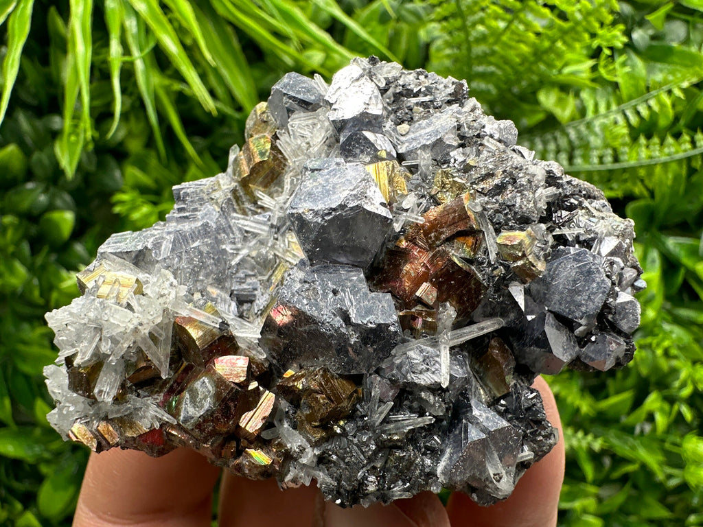 Red Pyrite, Galena, Sphalerite & Quartz Crystal Cluster - Borieva Mine