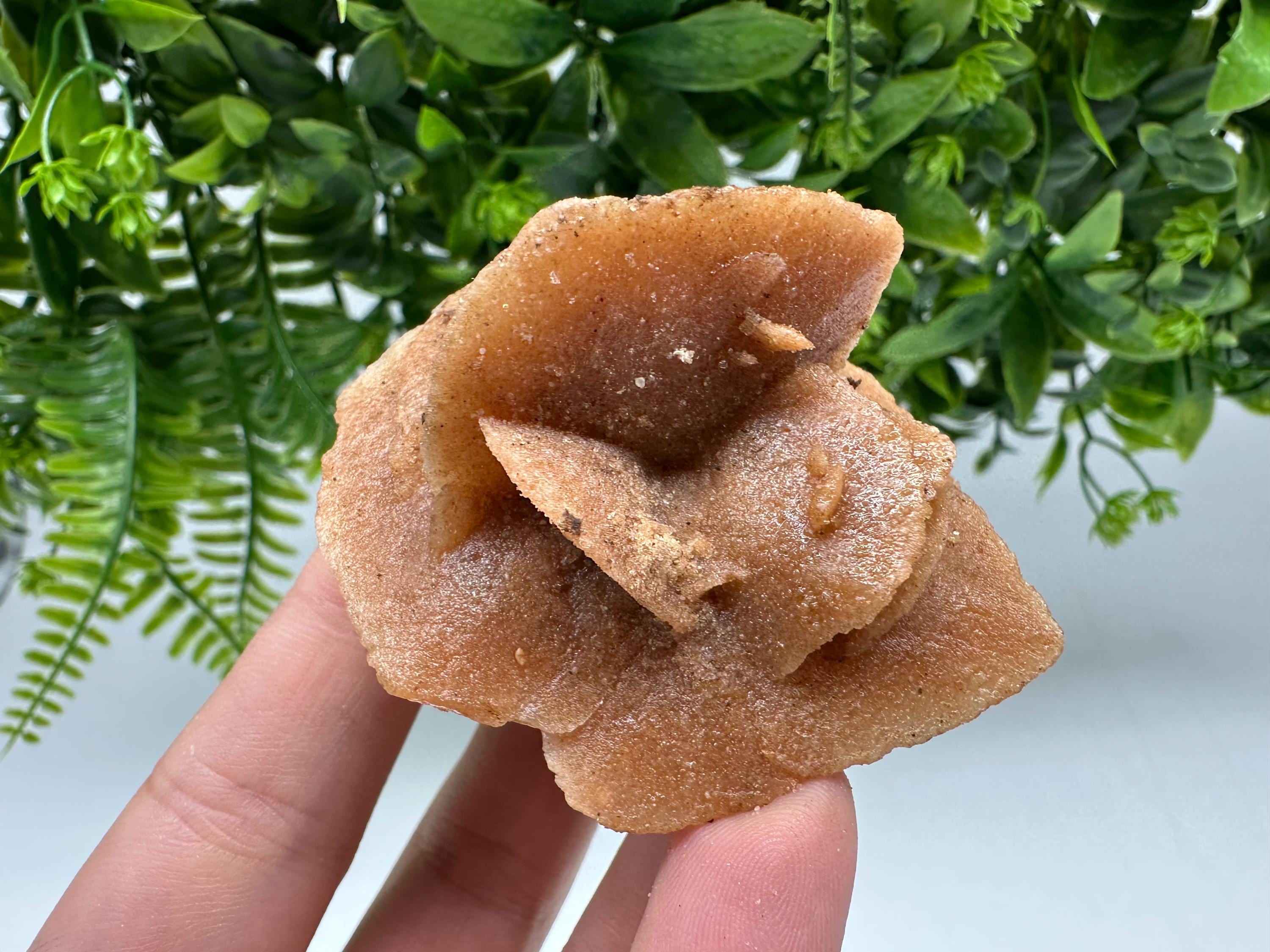 Natural Desert Rose Crystal - Root Chakra Healing Selenite Stone