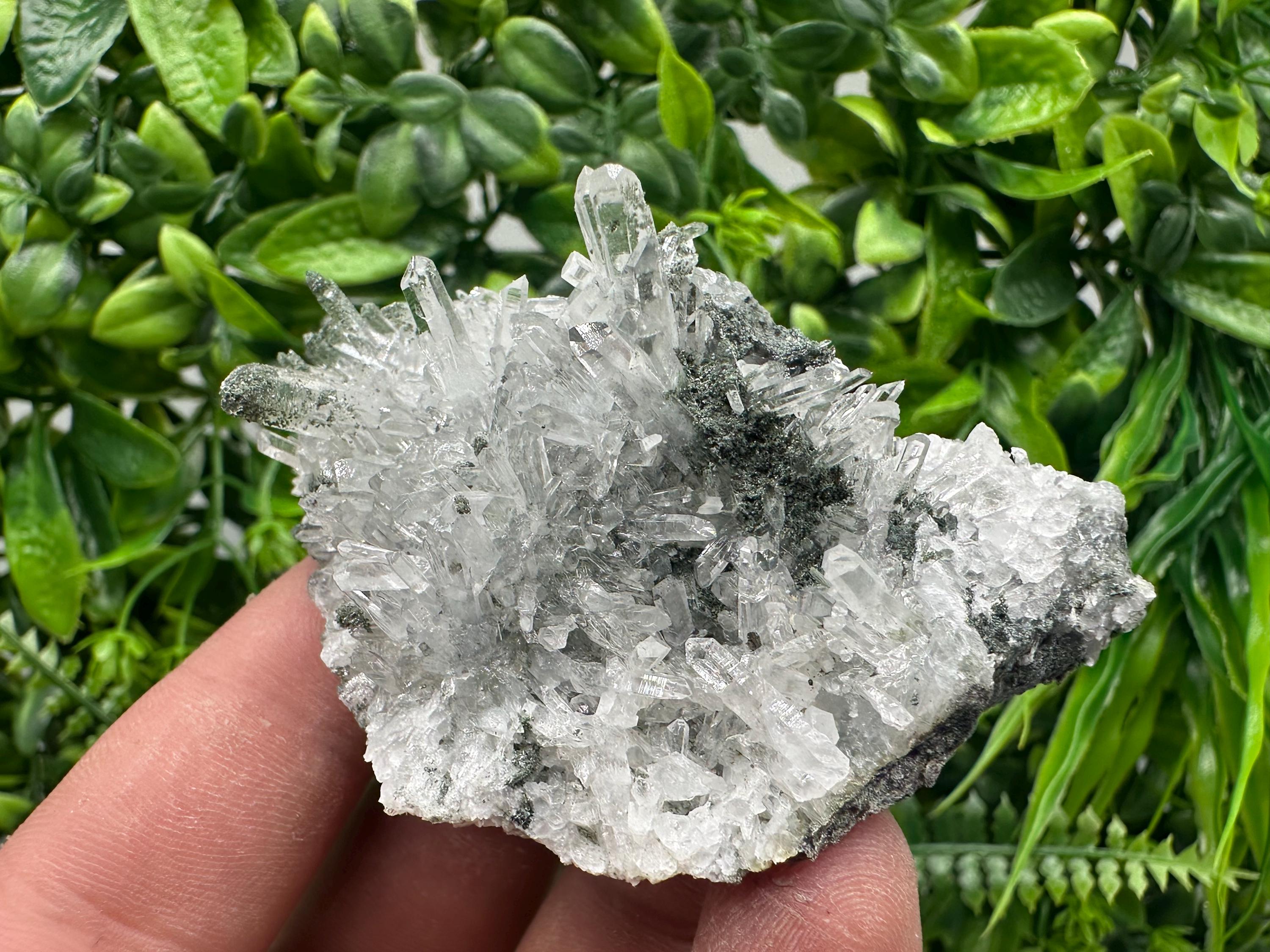 Transparent Quartz on Chlorite Matrix - Borieva Mine, Bulgaria