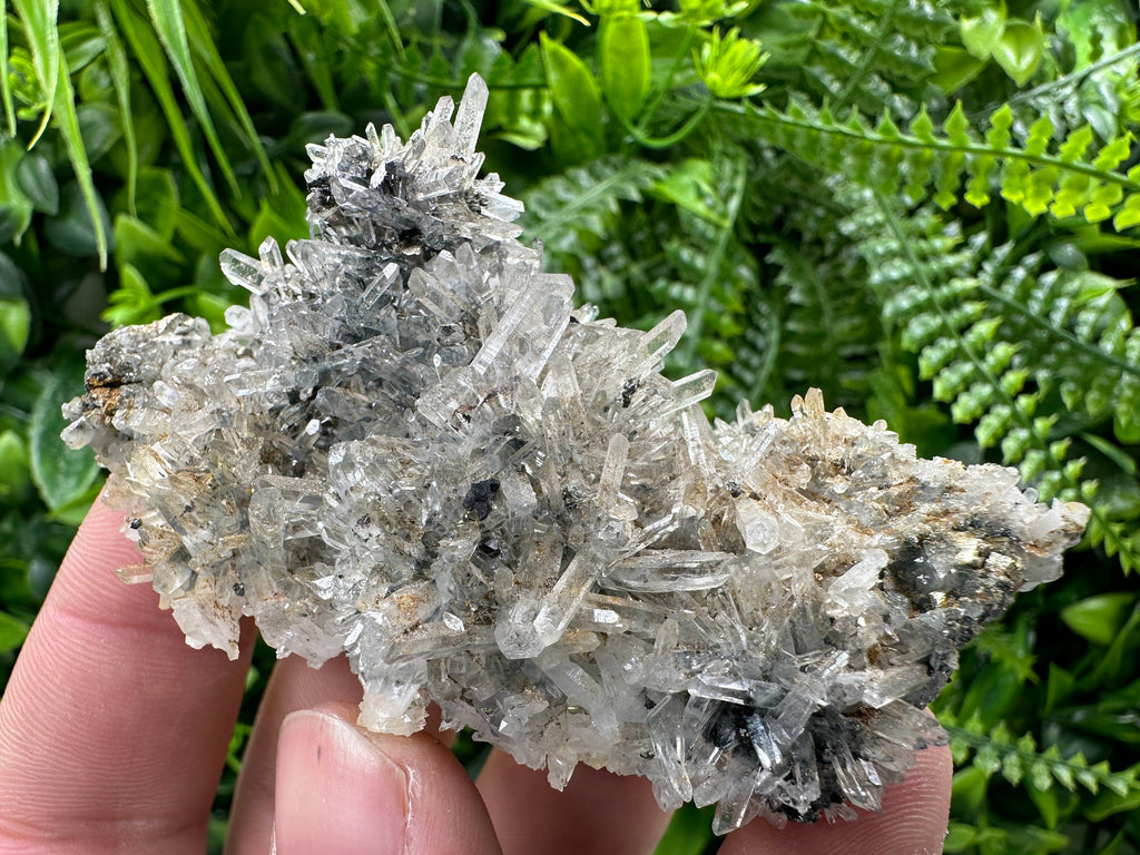 Pyrite Sphalerite on Quartz, Borieva Mine, Bulgaria (8/6/3 cm)