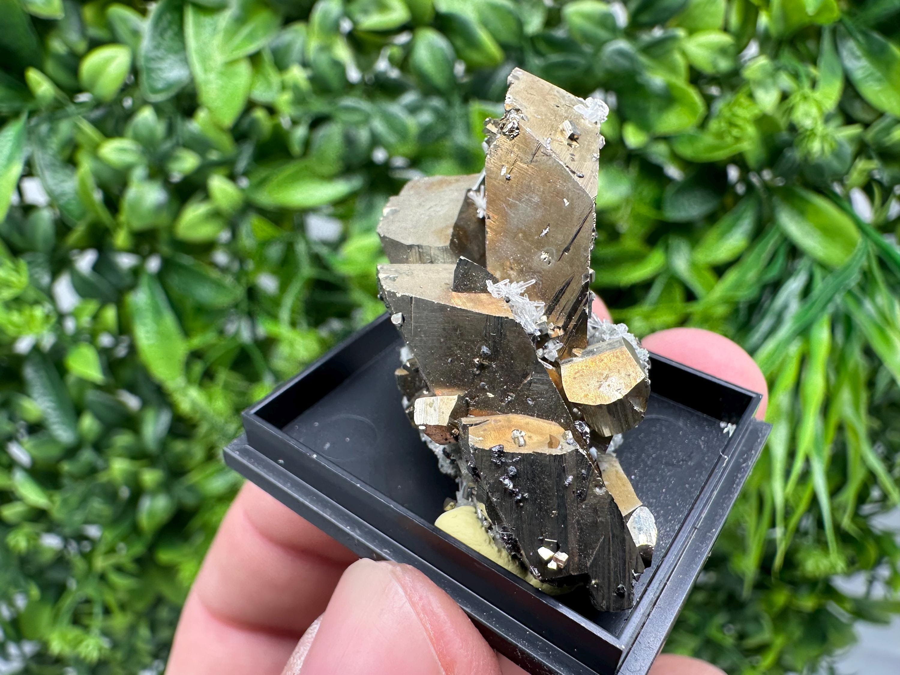 Rare Crystalline Pyrite Cluster - Borieva Mine, Bulgaria