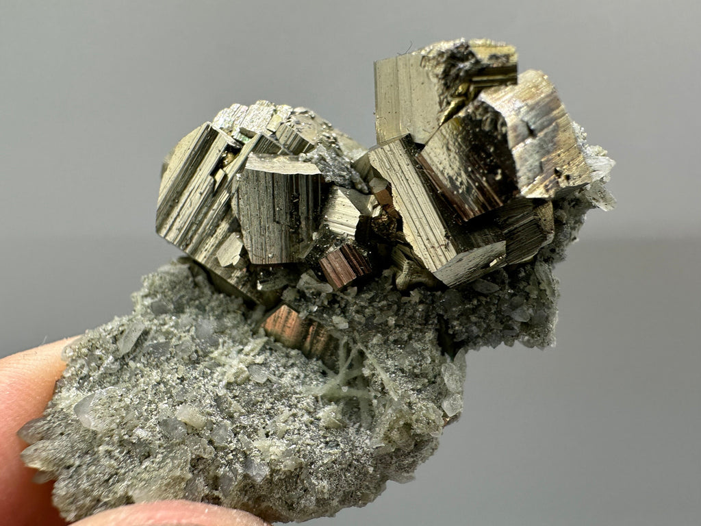 Golden Pyrite on Quartz with Chlorite - Borieva Mine Bulgaria