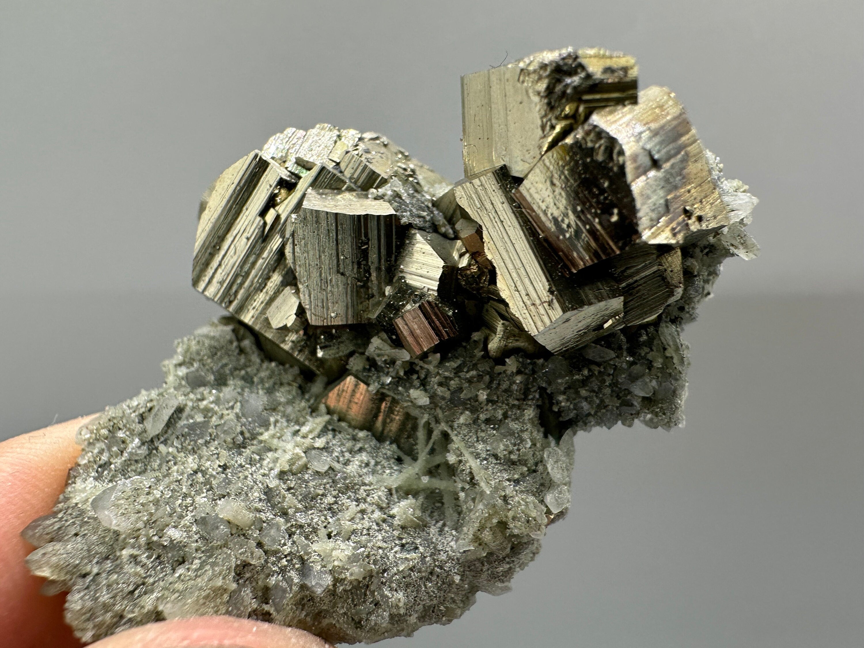 Golden Pyrite on Quartz with Chlorite - Borieva Mine Bulgaria
