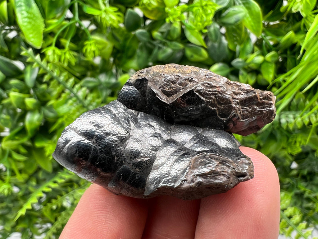 Moroccan Botryoidal Black Hematite Specimen: Chakra Reiki Crystal