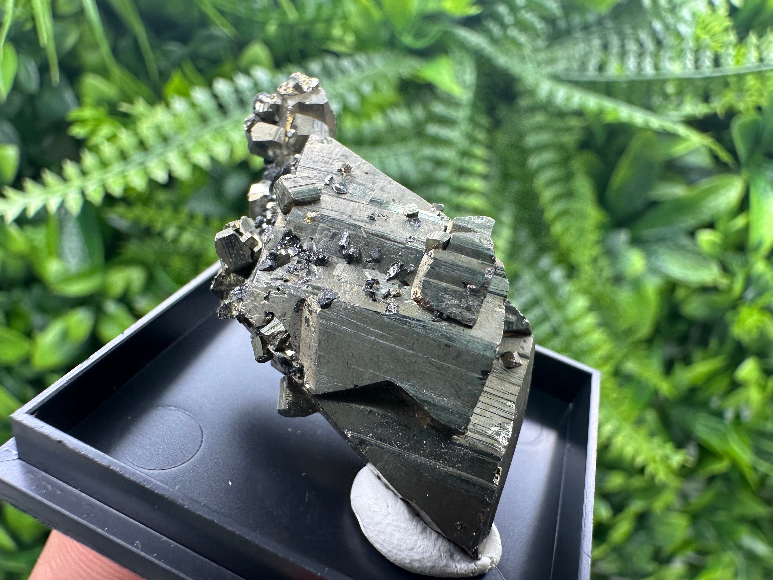 Shiny Pyrite Crystal Cluster, Borieva Mine, Bulgaria