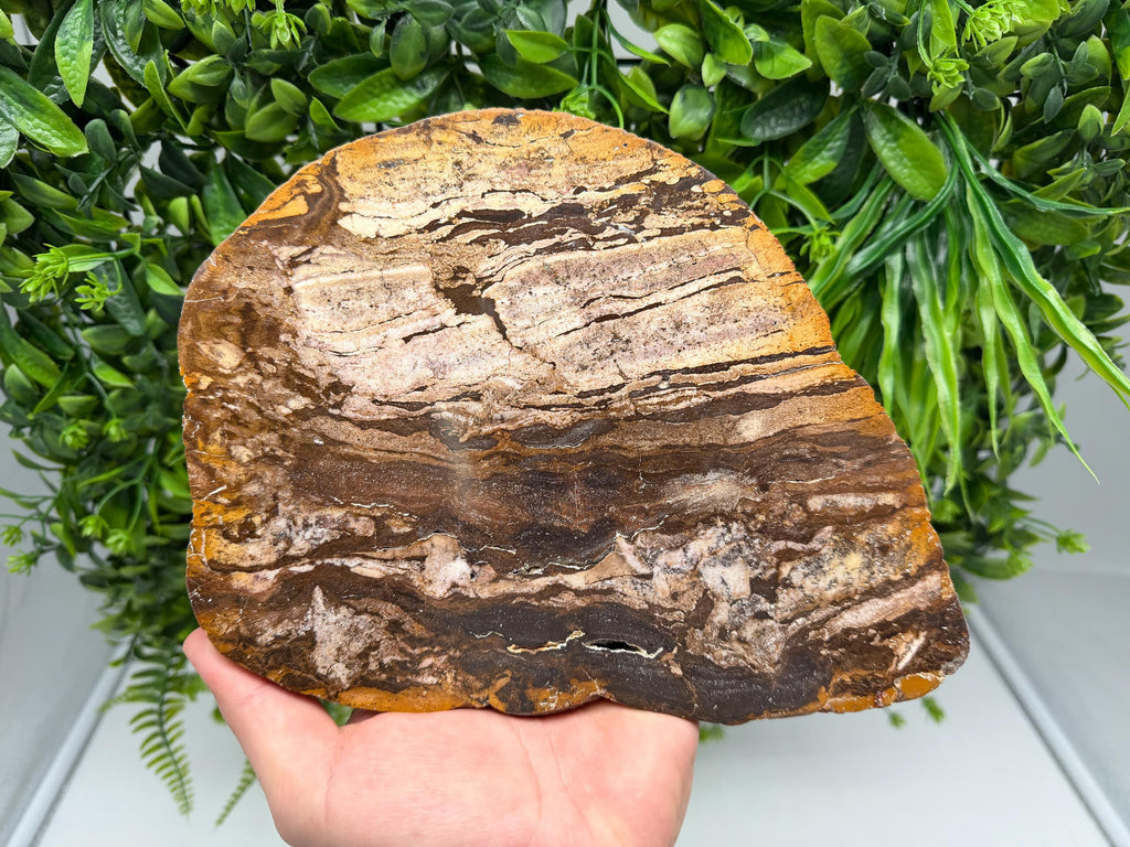 Polished Landscape Jasper Slab – Natural Scenic Stone Slice, Grounding Decor (21x17cm)