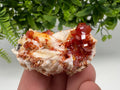 Red Vanadinite on Barite from Marocco,crystal minerals Speciment cluster Vanadinite crystal Vanadinite Geology Vanadinite cluster minerals