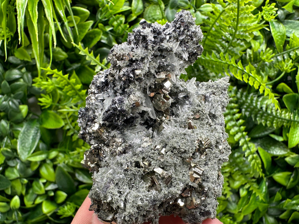 Pyrite on Quartz with Chlorite, Natural Crystal Decor, Borieva Bulgaria