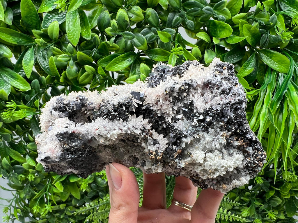 Galena Cluster with Siderite and Quartz, 9th September Mine, Bulgaria