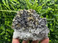 Rainbow Pyrite Cluster on Sphalerite Quartz, Borieva Mine Bulgaria