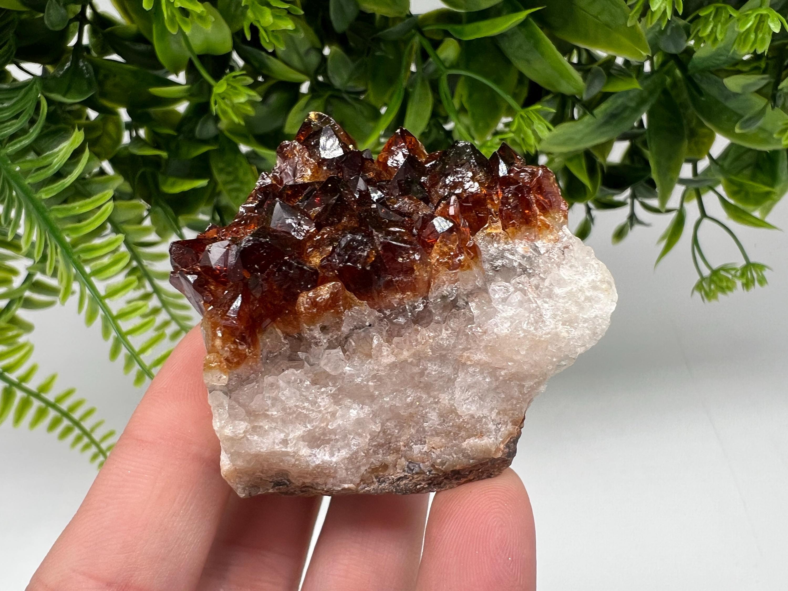 Brazilian Citrine Crystal Cluster with Hematite Inclusions