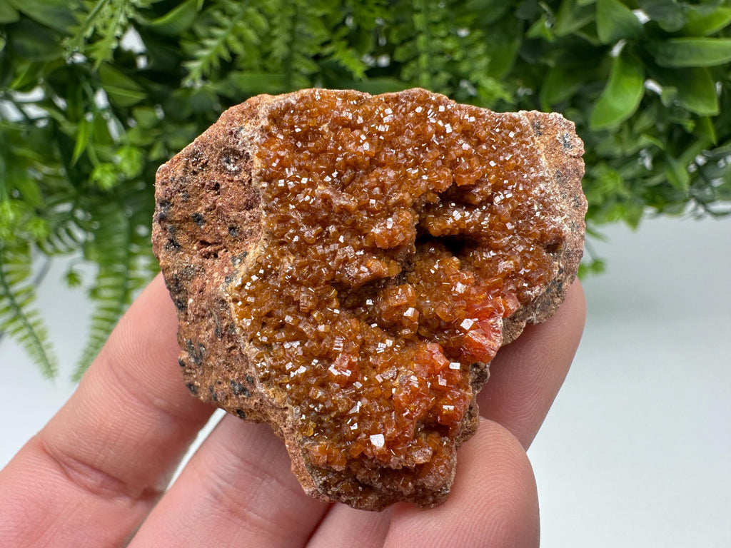 Red Vanadinite on Matrix from Marocco,crystal minerals Speciment cluster Vanadinite crystal Vanadinite Geology Vanadinite cluster minerals