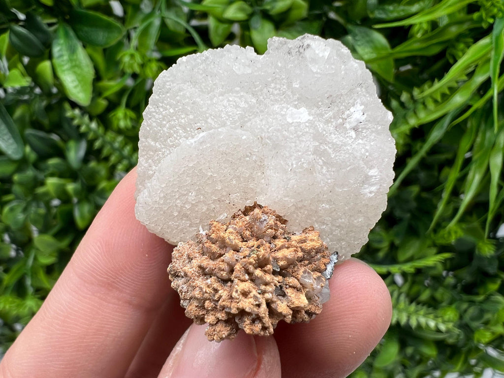 UV Fluorescent Calcite Cluster, Natural Borieva Bulgaria Minerals