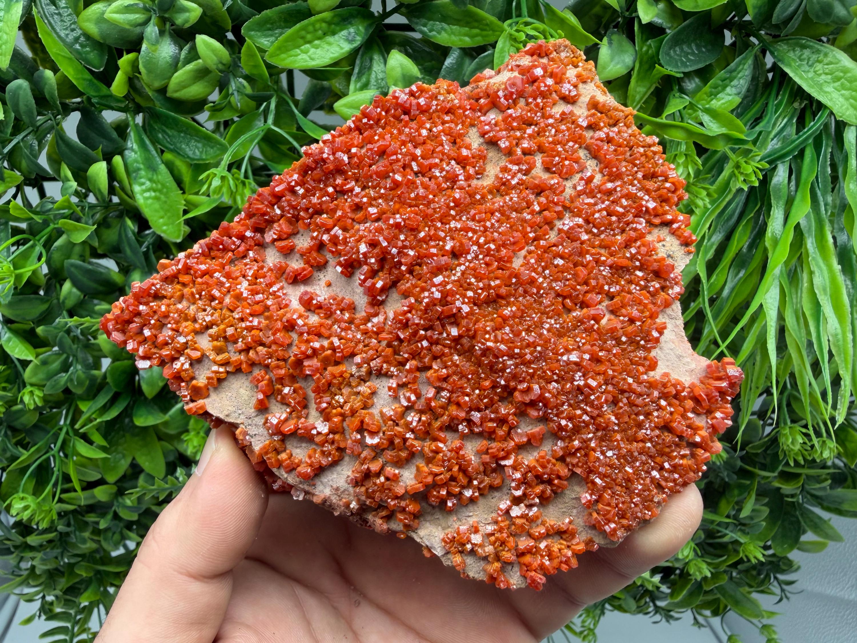 Red Vanadinite on Matrix from Marocco,crystal minerals Speciment cluster Vanadinite crystal Vanadinite Geology Vanadinite cluster minerals