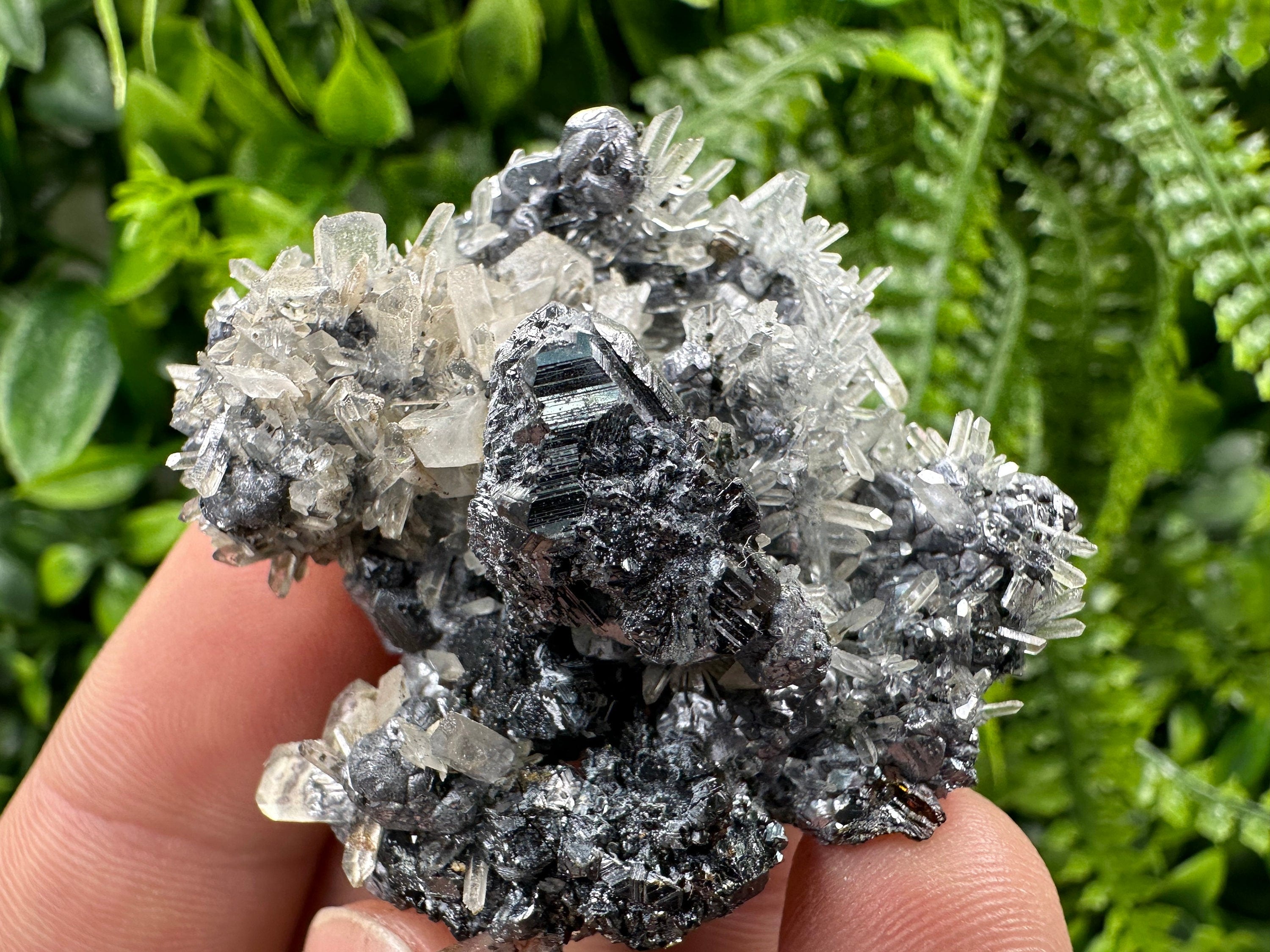 Sphalerite Quartz on Galena Mineral Specimen, Bulgaria
